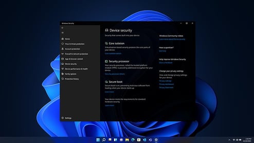 Windows 11 Pro License
