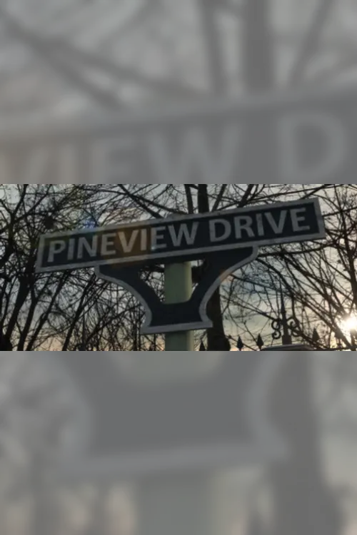 Pineview Drive - Steam Key - Worldwide