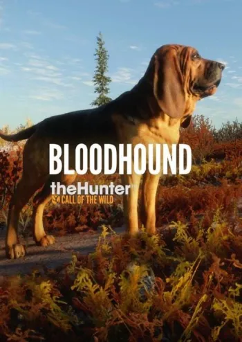 theHunter: Call of the Wild - Bloodhound - DLC - Steam Key - Worldwide