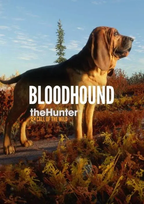 theHunter: Call of the Wild - Bloodhound - DLC - Steam Key - Worldwide