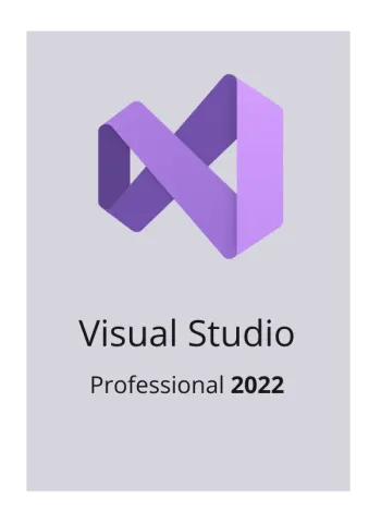 Microsoft Visual Studio 2022 Professional