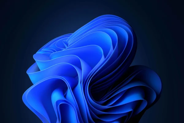 De ce am nevoie de o licență Windows 11 Pro?